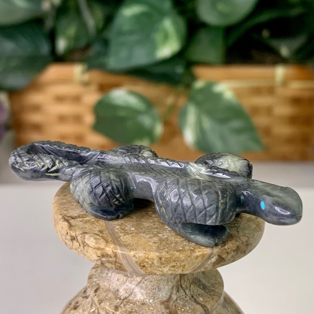 Authentic Zuni Picasso Marble Lizard Fetish Carving Nelson Yatsattie 2.5" Signed - Picture 2 of 16